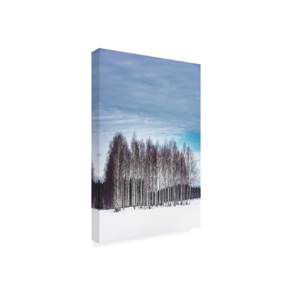 Philippe Sainte Laudy 'Trees Of Eternity' Canvas Art,22x32